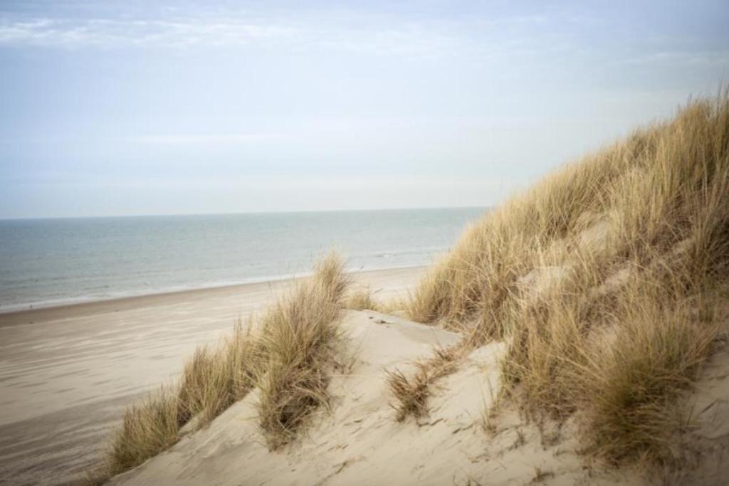 Weidevilla 14 auf Ameland Hollum  Buitenkant foto